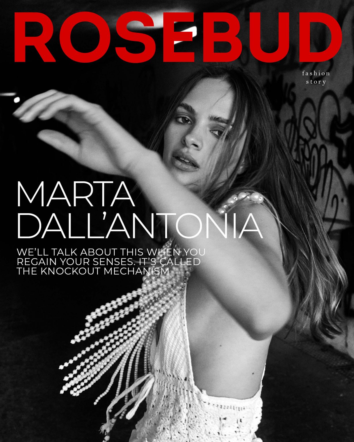 ROSEBUD